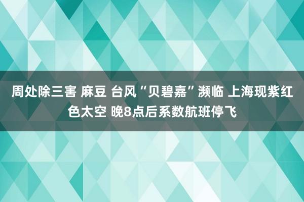 周处除三害 麻豆 台风“贝碧嘉”濒临 上海现紫红色太空 晚8点后系数航班停飞