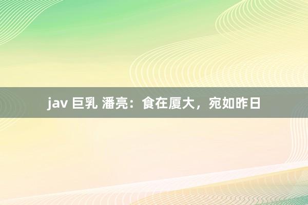 jav 巨乳 潘亮：食在厦大，宛如昨日