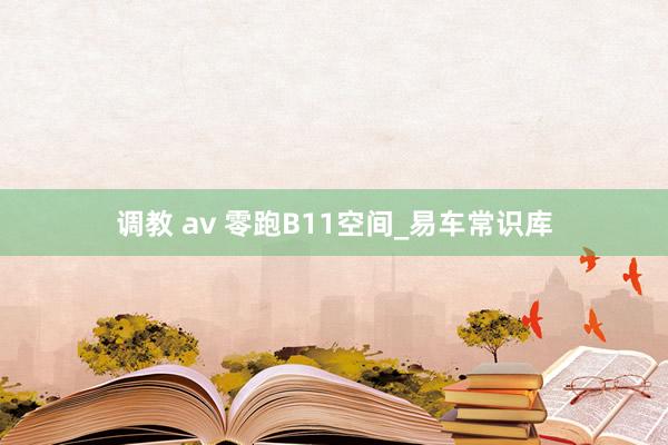 调教 av 零跑B11空间_易车常识库