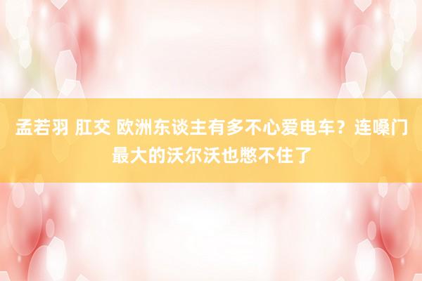 孟若羽 肛交 欧洲东谈主有多不心爱电车？连嗓门最大的沃尔沃也憋不住了