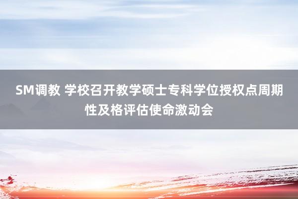 SM调教 学校召开教学硕士专科学位授权点周期性及格评估使命激动会