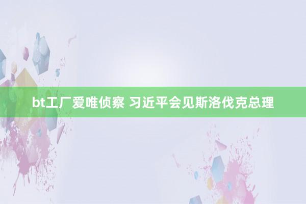 bt工厂爱唯侦察 习近平会见斯洛伐克总理