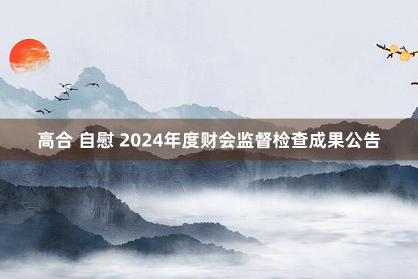 高合 自慰 2024年度财会监督检查成果公告