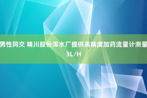 男性同交 精川股份浑水厂提供高精度加药流量计测量3L/H