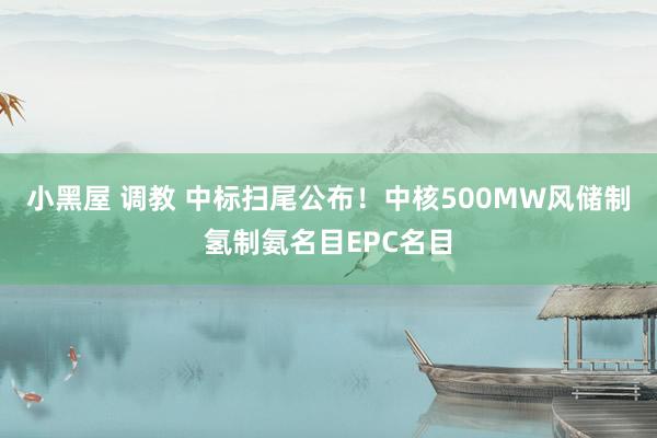 小黑屋 调教 中标扫尾公布！中核500MW风储制氢制氨名目EPC名目