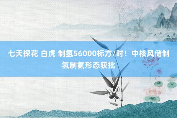 七天探花 白虎 制氢56000标方/时！中核风储制氢制氨形态获批